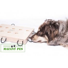 Hlavolam IPET - My Intelligent Pets - obtížnost 3