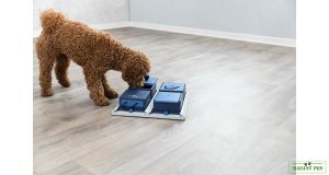 Hlavolam Dog Activity - POCKER BOX 1 31x31 cm - obtížnost 2