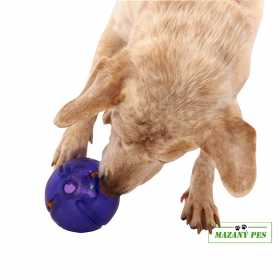 ORBEE-TUFF® GURU míček na pamlsky Planet Dog
