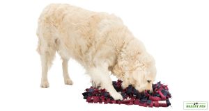 Čmuchací kobereček SNIFFING CARPET Dog Activity průměr 50x34 cm