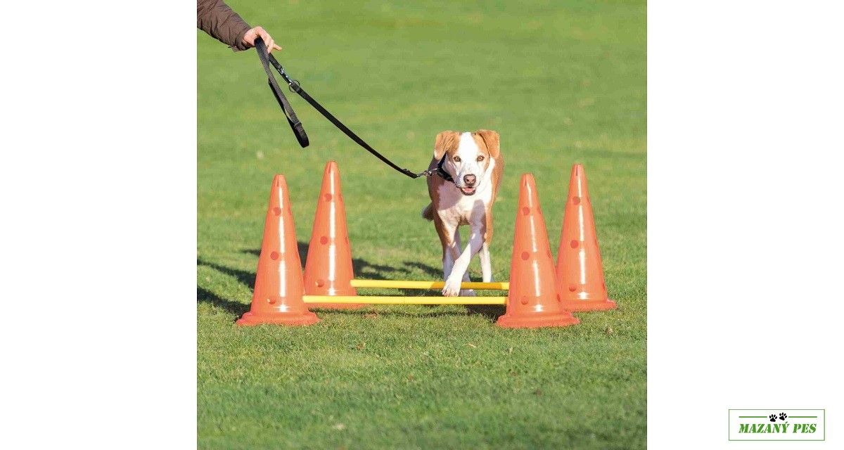 Dog Activity překážky (2 ks) 30 x 50 cm / 100 cm Trixie