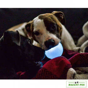 Orbee-Tuff® Ball Strobe blikající 7,5cm fosfor Planet Dog