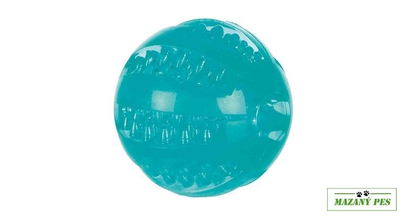 DENTAFun míč, termoplastická guma (TPR) 6 cm Trixie