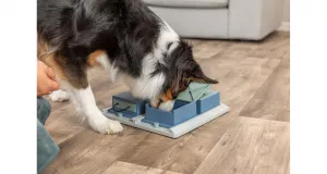Hlavolam pro psy Dog Activity POCKER BOX 1 31x31 cm Hlavolam pro psy Dog Activity POCKER BOX 1 31x31 cm .