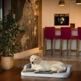 Ortopedický pelíšek MEDICO LUX šedý s grafitovou matrací Ekokůže – Hobby Dog Ortopedický pelíšek MEDICO LUX šedý s grafitovou matrací Ekokůže - pozadí + pes