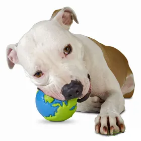 Orbee-Tuff® Ball Zeměkoule modro/zelená pes při hře