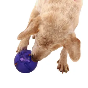ORBEE-TUFF® GURU míček na pamlsky - fialová Planet Dog ORBEE-TUFF® GURU míček na pamlsky při hře psa