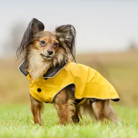 Rukka Stream Raincoat PLÁŠTĚNKA žlutá - na menším plemenu psů