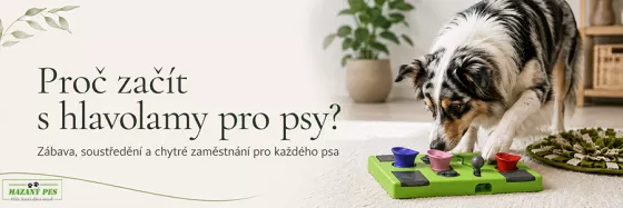 Pes řeší hlavolam pro psy