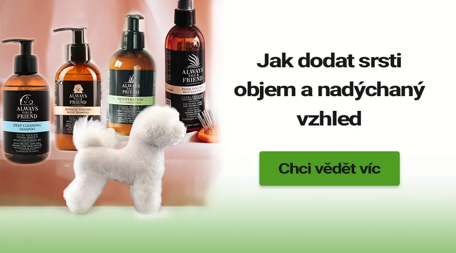 Jak dodat psí srsti objem a nadýchaný vzhled