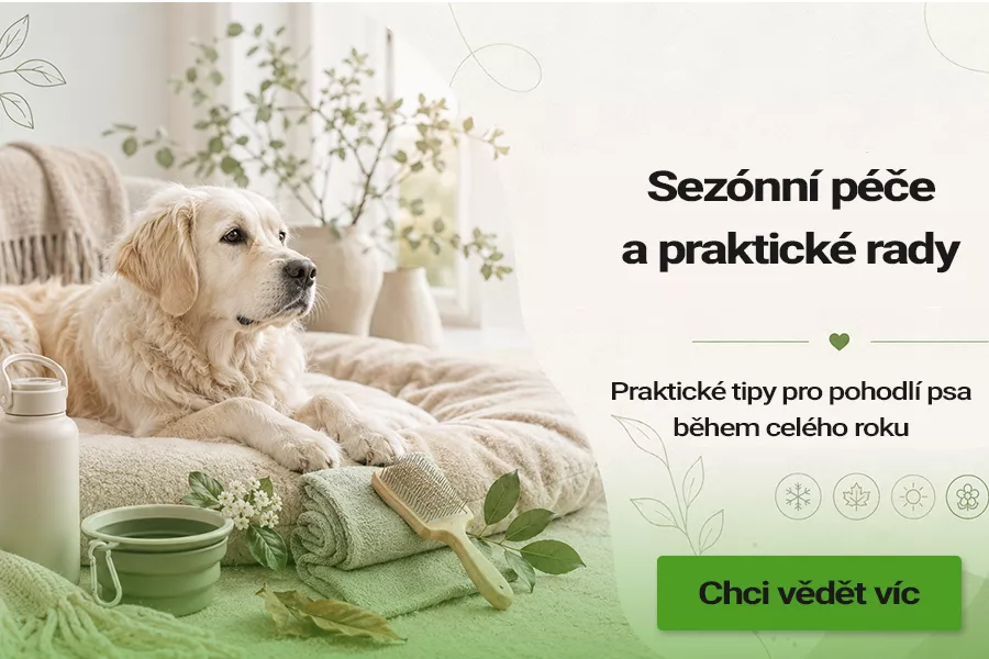 Sezónní péče a praktické rady