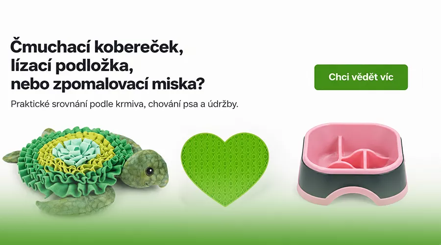 Čmuchací kobereček, lízací podložka, nebo zpomalovací miska: co vybrat pro psa