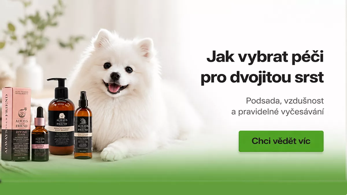 Jak vybrat péči pro dvojitou srst s podsadou