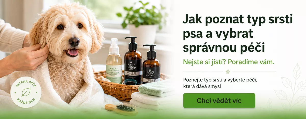 Jak poznat typ srsti psa a vybrat správnou péči