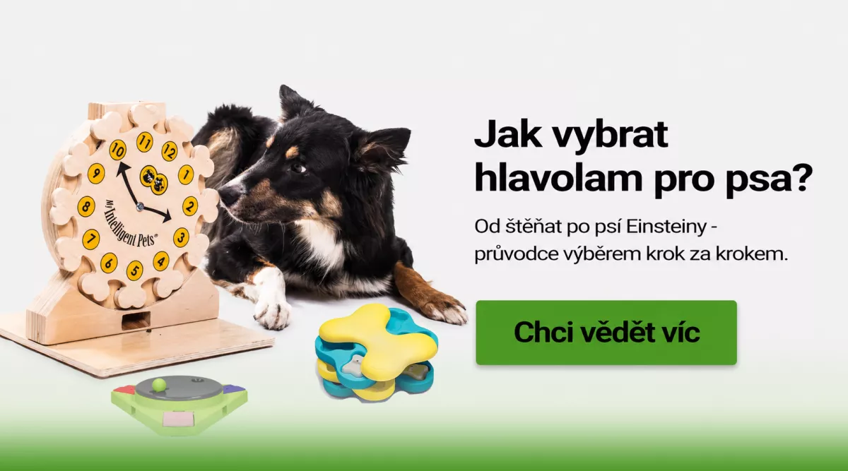 Jak vybrat hlavolam pro psa: Od štěňat po psí Einsteiny