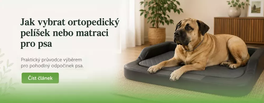 Jak vybrat ortopedický pelíšek nebo matraci pro psa