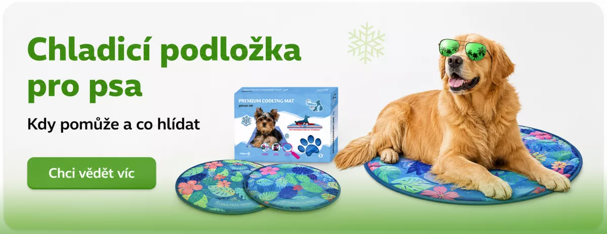 Chladicí podložka pro psa – kdy pomůže a co hlídat
