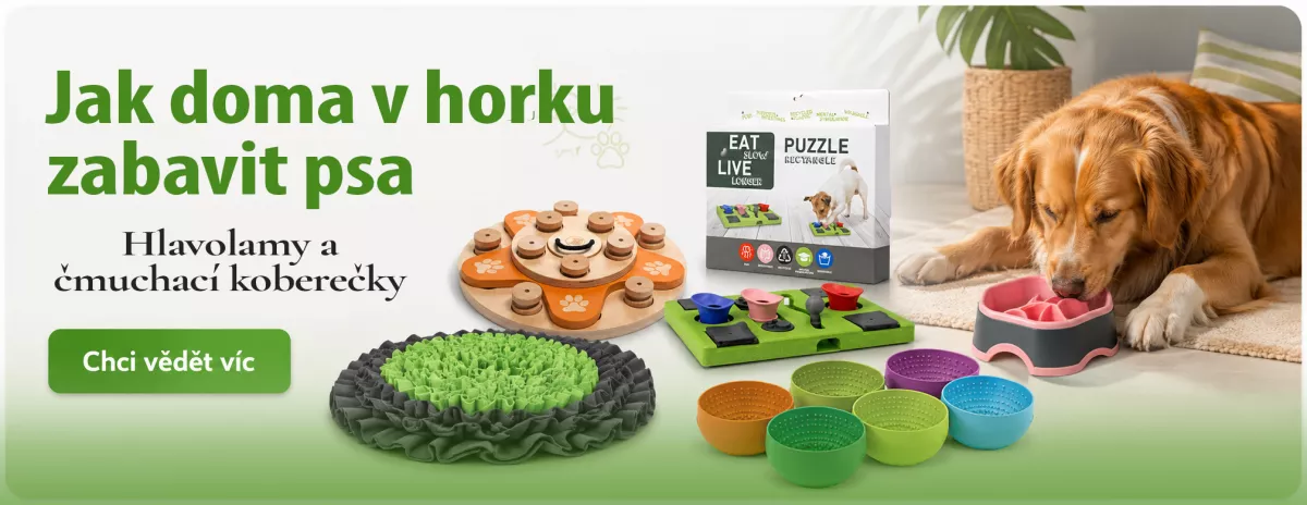 Jak zabavit psa doma v horku