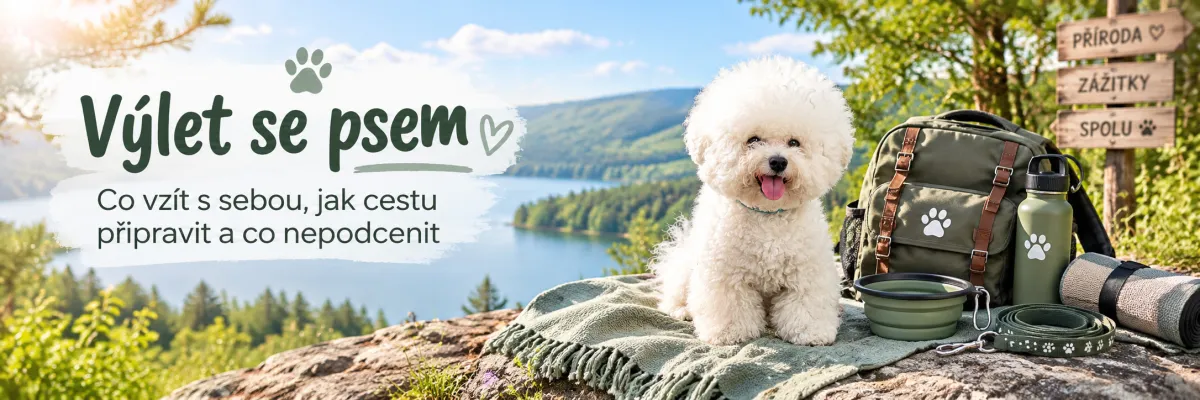 Výlet se psem - co vzít s sebou, jak cestu připravit a co nepodcenit